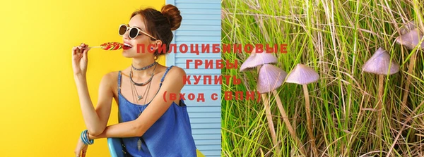 кристаллы Бородино