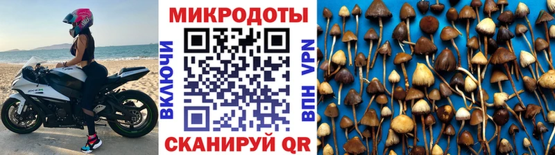 Купить закладки  Спасск-Дальний  Псилоцибиновые грибы мицелий 