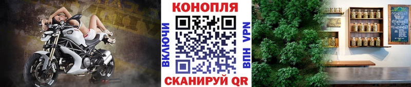 Купить  Спасск-Дальний  Конопля конопля 